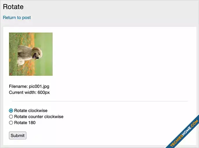 AnfyB Rotate-2.webp