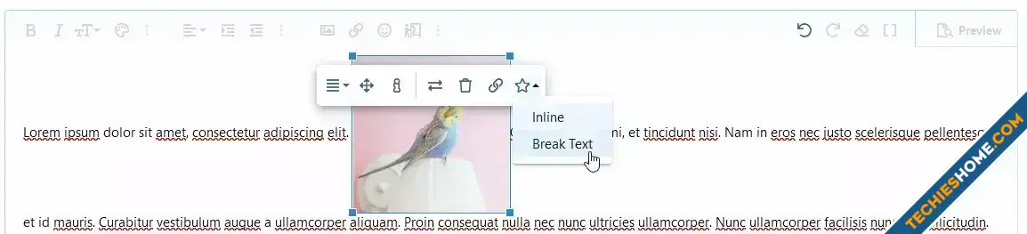 OzzModz - Editor Image Display Mode-2.webp
