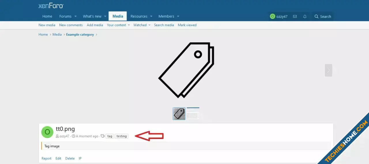 OzzModz XFMG Tag Positions-1.webp