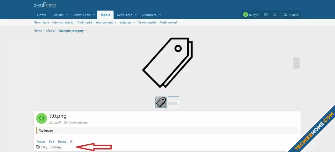 OzzModz XFMG Tag Positions-2.webp