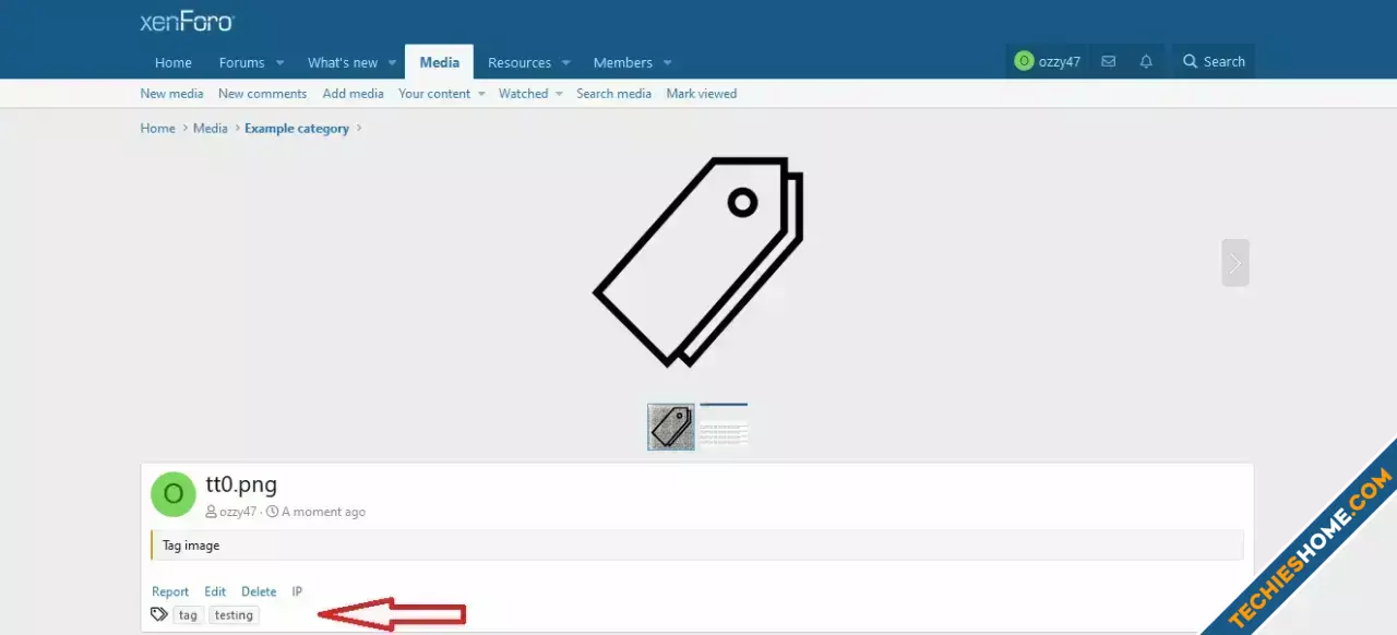 OzzModz XFMG Tag Positions-2.webp