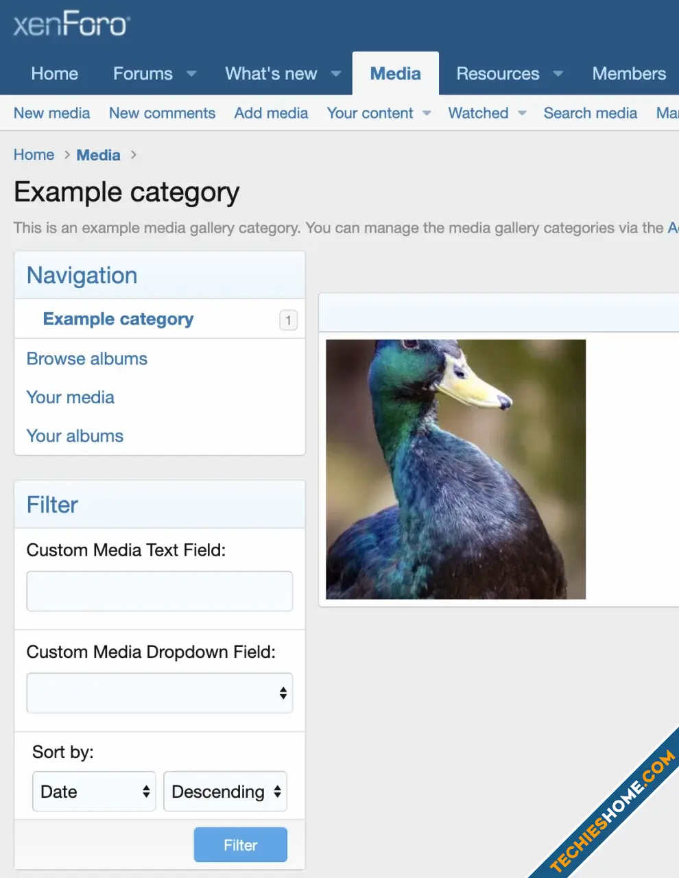 VBResults Filter Media Fields-1.webp