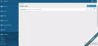 xs_is_tokens_user.webp