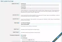 Link processing options.webp