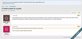 Reply awaiting moderation until email confirmation.webp