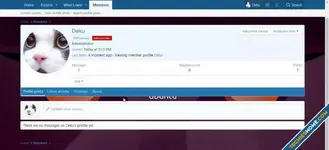 mdv-profile-background.webp