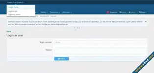 02_login_as_user.webp