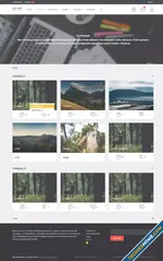 05_index.webp
