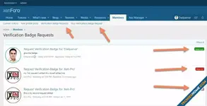 XP_VB_StatusAndNavigation.webp